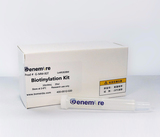 Genemore G-MM-IGT 生物素化试剂盒