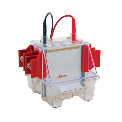 Hoefer SE260-10A-.75 垂直电泳仪SE260-10A-.75 COMPLETE,HINC