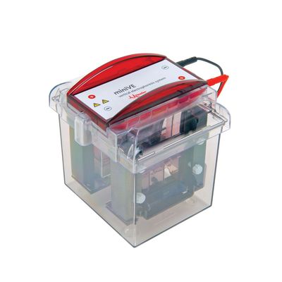 Hoefer SE300-10A-1.0 垂直电泳仪MINIVE COMPLETE